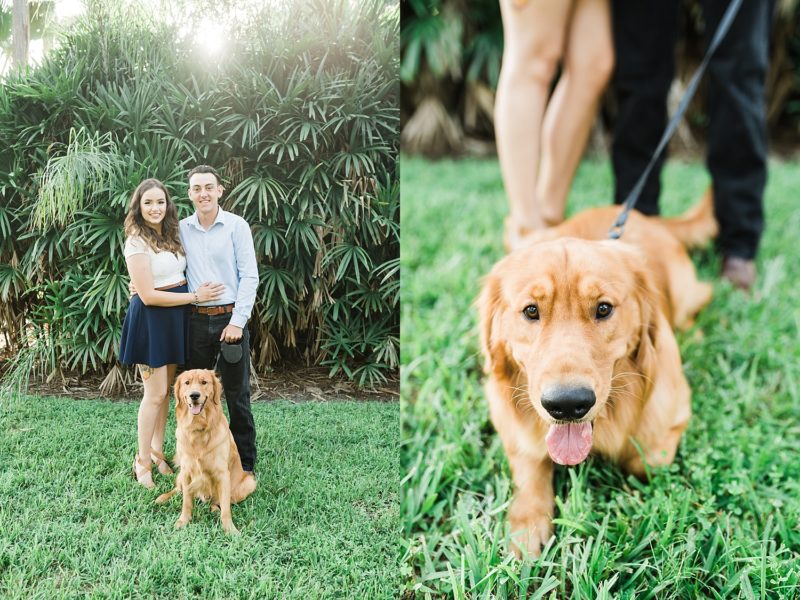 couple with their dog in a photo shoot