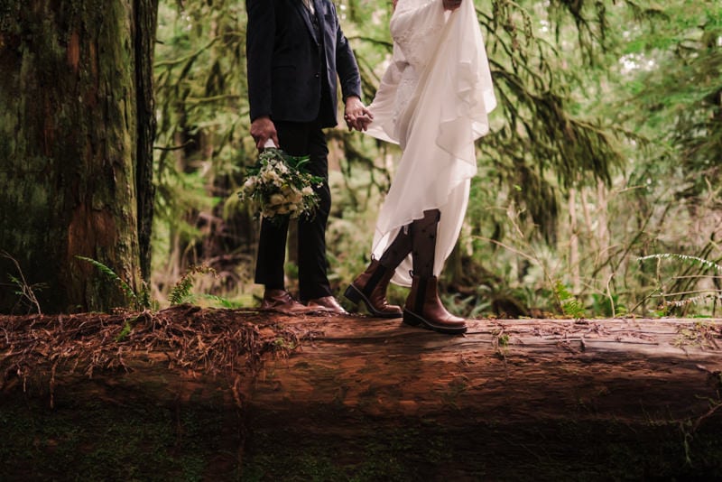how to elope in the redwoods