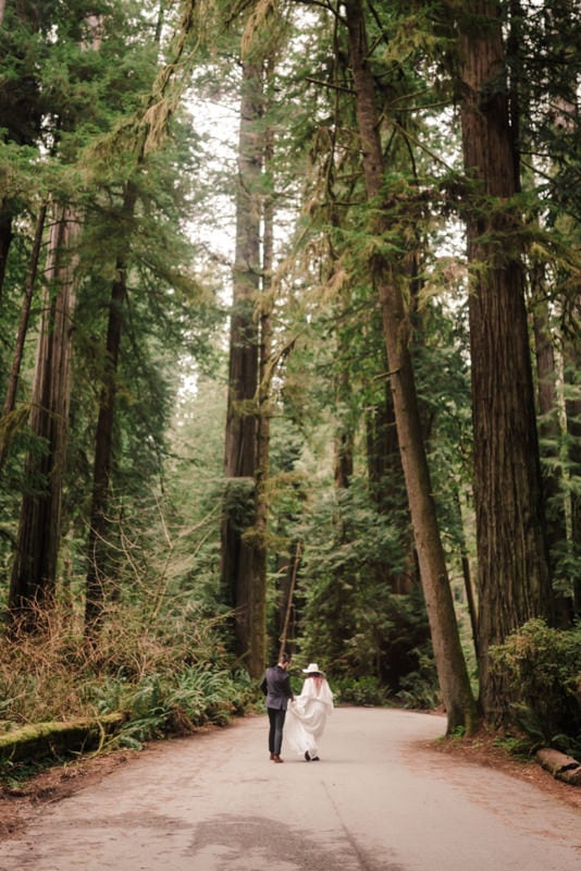 how to elope in the redwoods